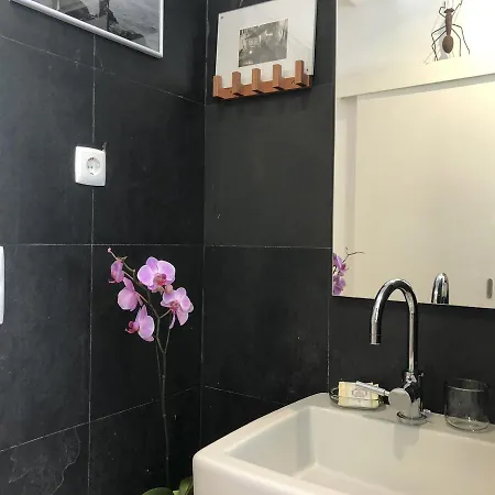 Lv Premier C.ourique Apartment *